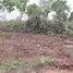  Land for sale in Phen Udon Thani, Ban That, Phen, Udon Thani
