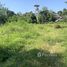  Terrain for sale in Nong Han, San Sai, Nong Han