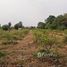  Land for sale in Udon Thani, Na Di, Mueang Udon Thani, Udon Thani