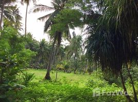 N/A Land for sale in Bang Nam Chuet, Chumphon Beachfront Land for Sale at Lang Suan