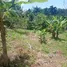  Grundstück zu verkaufen in Las Terrenas, Samana, Las Terrenas, Samana, Dominikanische Republik