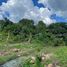  Земельный участок for sale in Noen Hom, Prachin Buri, Noen Hom, Mueang Prachin Buri, Prachin Buri