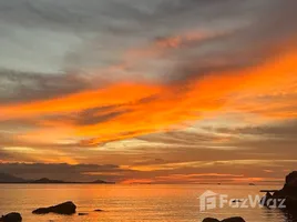 ขายที่ดิน ใน บ่อผุด, สุราษฎร์ธานี, บ่อผุด, เกาะสมุย