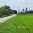  Terrain for sale in Wang Taku, Mueang Nakhon Pathom, Wang Taku