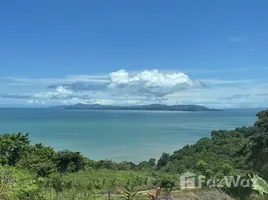 在Panama出售的 土地, El Llano, Chepo, Panama