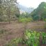 在清迈出售的 土地, Samoeng Nuea, 沙蒙, 清迈