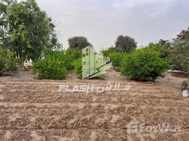  Земельный участок на продажу в Mudfak, Suburbia, Downtown Jebel Ali, Дубай, Объединённые Арабские Эмираты