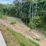  Terrain for sale in Bay Islands, Roatan, Bay Islands