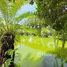 5 Bedroom Villa for sale in Thang Kwian, Rayong, Thang Kwian, Klaeng, Rayong, Thailand