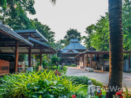 7 Schlafzimmer Haus zu vermieten in Chiang Mai, San Phisuea, Mueang Chiang Mai, Chiang Mai