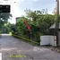  Land for sale in San Sai Chiang Mai, Nong Chom, San Sai, Chiang Mai