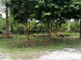  Terreno (Parcela) en venta en Tailandia, Tha Muang, Tha Muang, Kanchanaburi, Tailandia