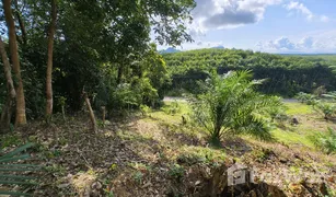 N/A Grundstück zu verkaufen in Khlong Khian, Phangnga 