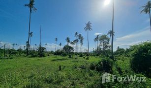 Земельный участок, N/A на продажу в Thung Sai, Nakhon Si Thammarat 