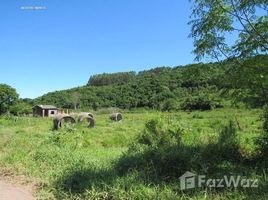  Land for sale in Taquara, Rio Grande do Sul, Pega Fogo, Taquara