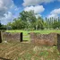 ขายที่ดิน ใน ศรีสุนทร, ภูเก็ต, ศรีสุนทร, ถลาง
