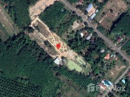  Земельный участок for sale in Det Udom, Ubon Ratchathani, Phon Ngam, Det Udom