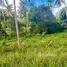  Land for sale in Taling Ngam, Surat Thani, Taling Ngam, Koh Samui