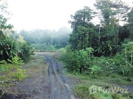  Grundstück zu verkaufen in Matina, Limon, Matina, Limon, Costa Rica