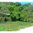  Land for sale in Honduras, Roatan, Bay Islands, Honduras