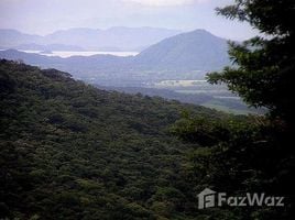  Terrain for sale in Guanacaste, Canas, Guanacaste