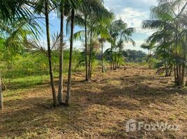 2 Schlafzimmer Haus zu verkaufen in Presidente Figueiredo, Amazonas, Presidente Figueiredo