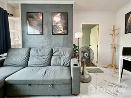 1 Bedroom Condo for rent at My Condo Sukhumvit 81, Bang Chak, Phra Khanong, Bangkok