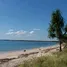  Terreno (Parcela) en venta en Pandawai, East Nusa Tenggara, Pandawai, Sumba Timur, East Nusa Tenggara