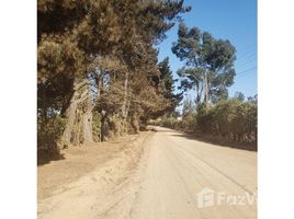  Land for sale at Santo Domingo, Santo Domingo, San Antonio, Valparaiso