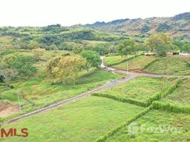 N/A Land for sale in , Caldas KM. 47 V�A MANIZALES-MEDELL�N, Manizales, Caldas