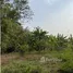  Grundstück zu verkaufen in Hua Hin, Prachuap Khiri Khan, Huai Sat Yai, Hua Hin