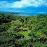  Terrain for sale in Puntarenas, Osa, Puntarenas