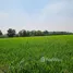  Land for sale in Khlong Luang Pathum Thani, Khlong Nueng, Khlong Luang, Pathum Thani