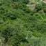  Land for sale in Bo Phut, Koh Samui, Bo Phut