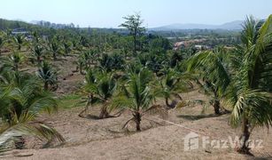 N/A Grundstück zu verkaufen in Si Sunthon, Phuket 