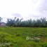  Land for sale in Mueang Kaeo, Chiang Mai, Mueang Kaeo, Mae Rim