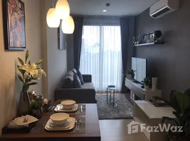 ขายคอนโด 1 ห้องนอน ในโครงการ ดิ แอสตร้า คอนโด, ช้างคลาน, เมืองเชียงใหม่, เชียงใหม่, ไทย