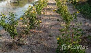 N/A Land for sale in Bang Khanak, Chachoengsao 