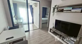 ยูนิตมือสองและให้เช่า