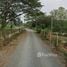  Land for sale in Mae Rim Chiang Mai, Mueang Kaeo, Mae Rim, Chiang Mai