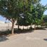 在Acacia Avenues出售的4 卧室 别墅, Acacia Avenues, Al Sufouh