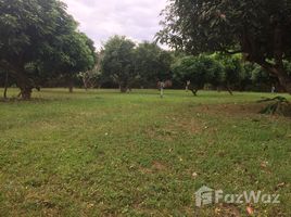  Land for sale in Chiang Mai, Nong Chom, San Sai, Chiang Mai