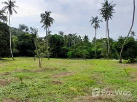  Grundstück zu verkaufen in Koh Samui, Surat Thani, Na Mueang