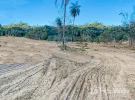  Terrain for sale in Pérou, Utcubamba, Amazonas, Pérou