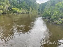  Земельный участок for sale in Amazonas, Canutama, Amazonas