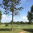  Land for sale in Cambodia, Banteay Srei, Siem Reap, Cambodia