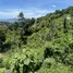  Land for sale in Phuket, Kamala, Kathu, Phuket