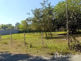  Land for sale in Nam Phrae, Chiang Mai, Nam Phrae, Hang Dong, Chiang Mai