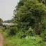  Land for sale in Thailand, Wang Lum, Taphan Hin, Phichit, Thailand