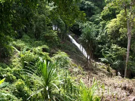 ขายที่ดิน ใน กมลา, ภูเก็ต, กมลา